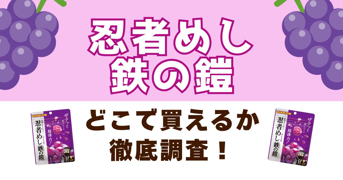 忍者めし 鉄の鎧がどこで買えるか徹底リサーチ