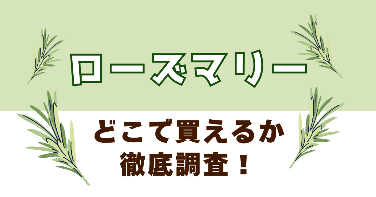 ローズマリーがどこで買えるか徹底調査